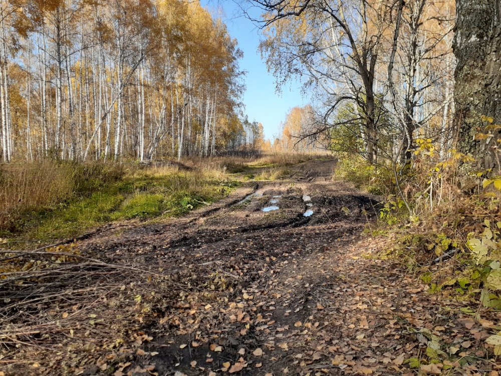 "Бабье Лето"...... , или золотой октябрь