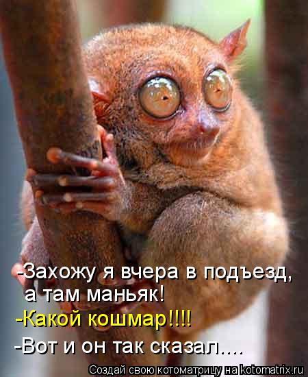  - -    ,   ! - !!!! -   