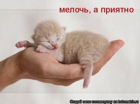 ��������� ����������� ������������..