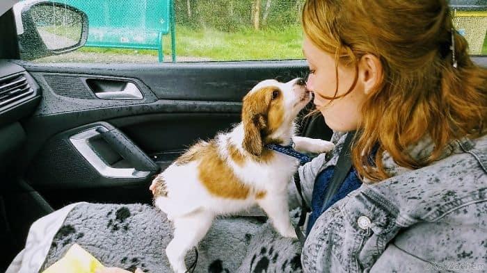 25 фотографий счастливых людей, которые впервые встретили своих собачек