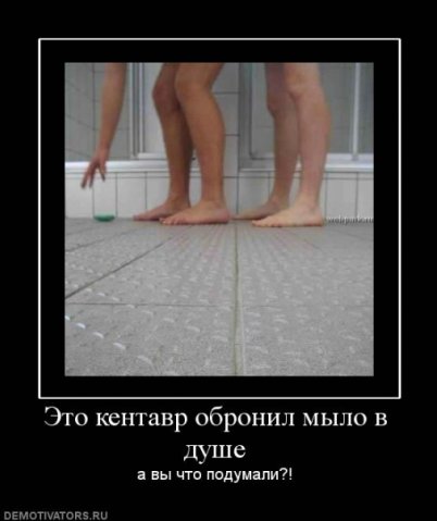 Веселые картинки )))