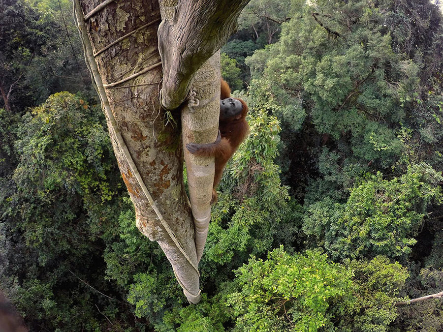 50 лучших фотографий года от National Geographic 3