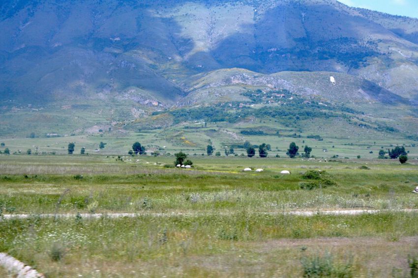 ������ �������� �������, ������, �����������