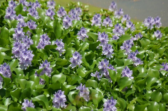 Картинка 23 из 235