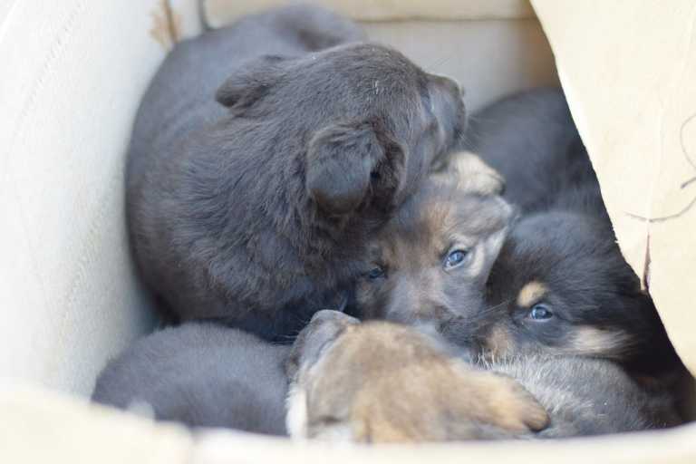 Еще есть шанс спасти эти 7 жизней... Еще есть шанс спасти эти 7 жизней...