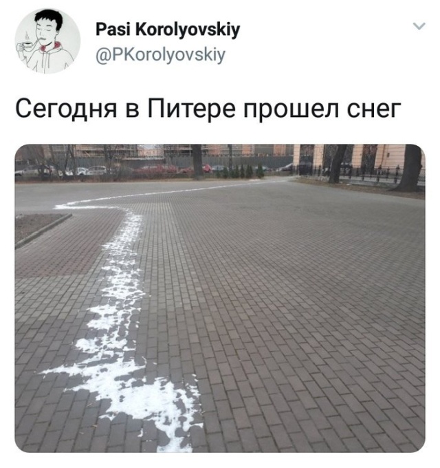 Подборка прикольных фото Подборка прикольных фото