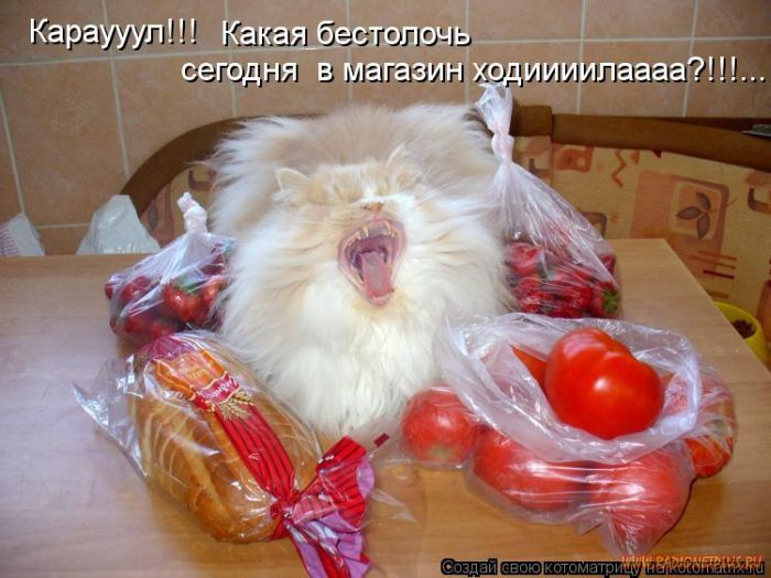 Котоматрицы великолепные, каждая с кусочком позитива и хорошего настроения!!! Котоматрицы великолепные, каждая с кусочком позитива и хорошего настроения!!!