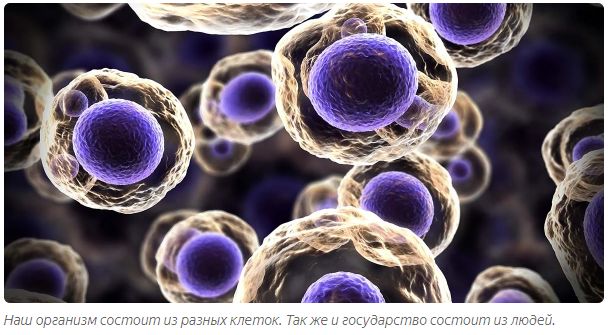 Почему наши "элиты" не наши и не элиты.