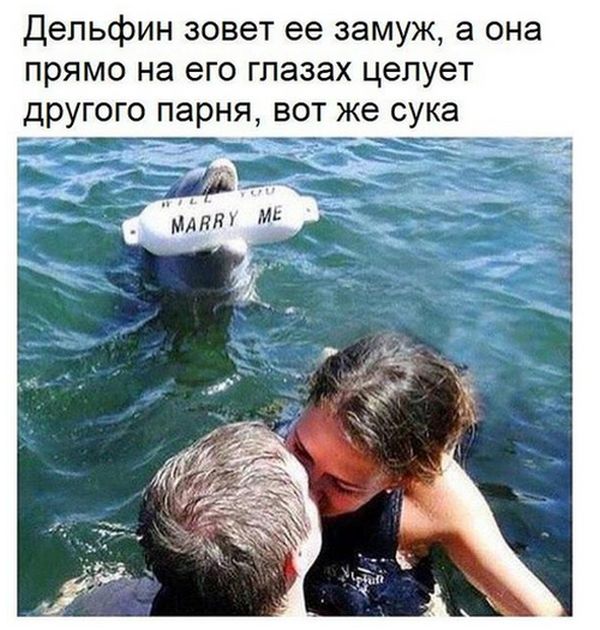 Позитивные и смешные картинки с надписью со смыслом (10 фото) Позитивные и смешные картинки с надписью со смыслом (10 фото)