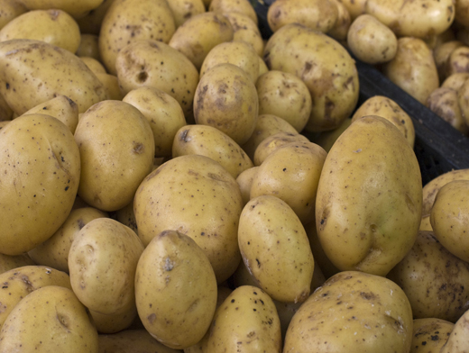 7 самых полезных продуктов сентября