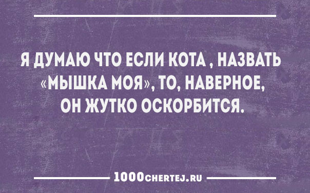 В жизни всегда есть место пофигу! Короткие смешные статусы