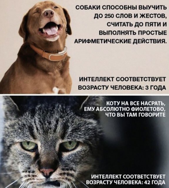 ПРИКОЛИСЬ ПРИКОЛИСЬ