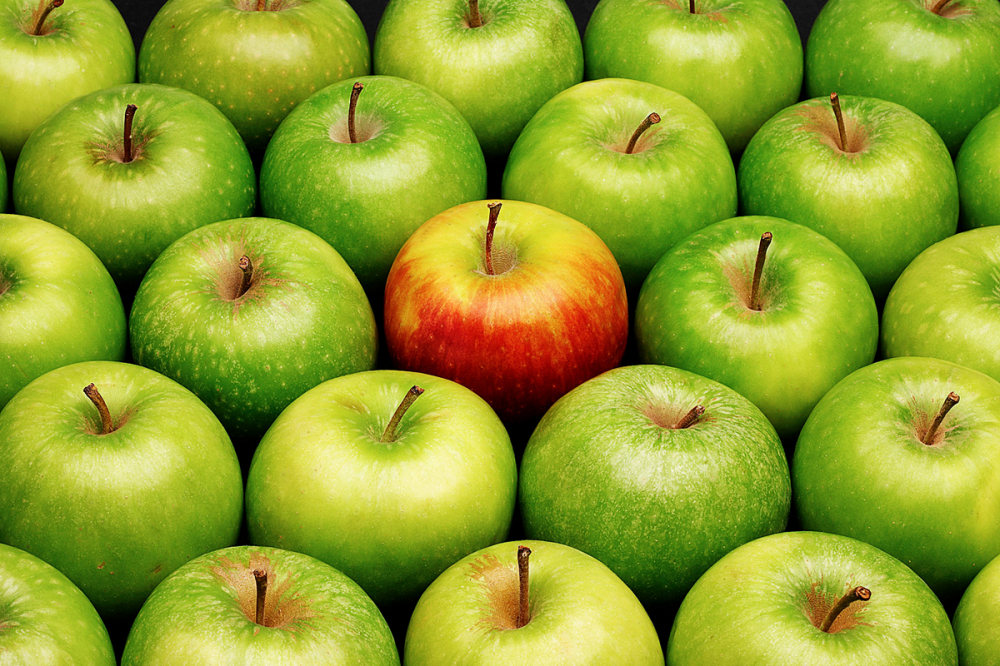 Сочный эталон: все, что вы не знали о яблоках