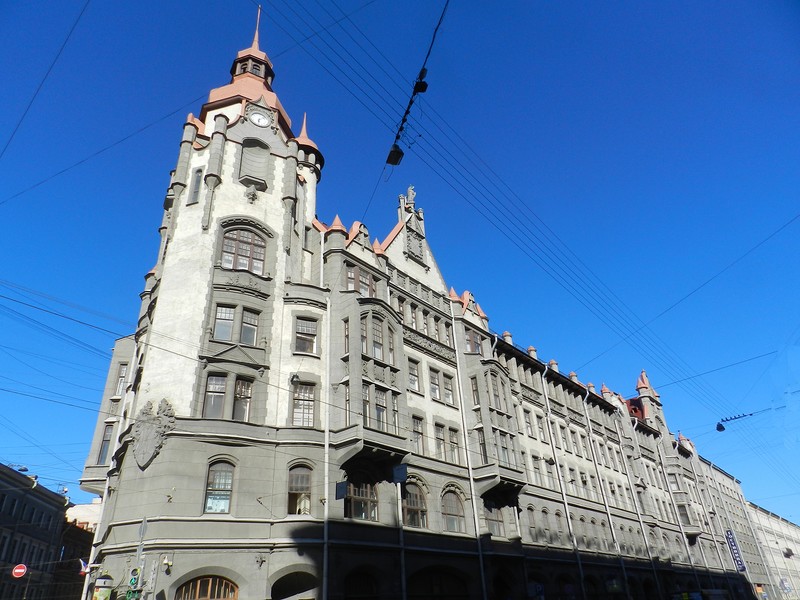Совы Петербурга Совы Петербурга