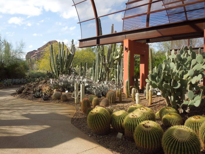 6. Desert Botanical Gardens, Феникс, Аризона.