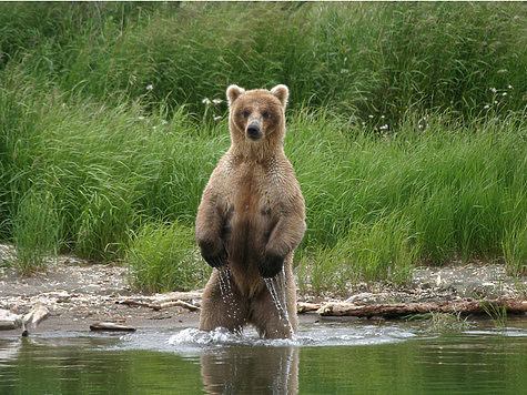 фото: Fotolia.com фото: Fotolia.com
