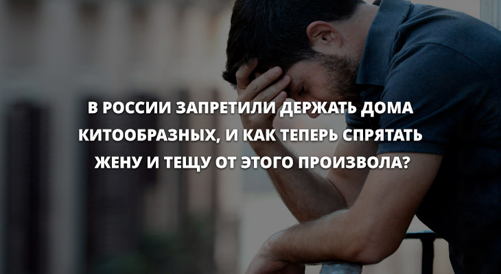 Анекдоты дня 29.06.2019
