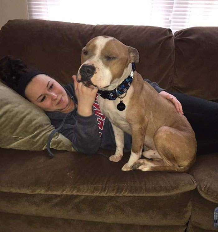 hugging-adopted-pitbull-russ-12