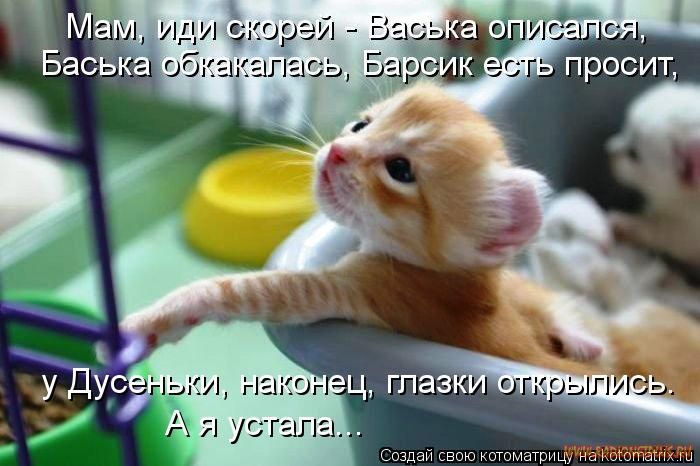 Котоматрицы великолепные, каждая с кусочком позитива и хорошего настроения!!! Котоматрицы великолепные, каждая с кусочком позитива и хорошего настроения!!!
