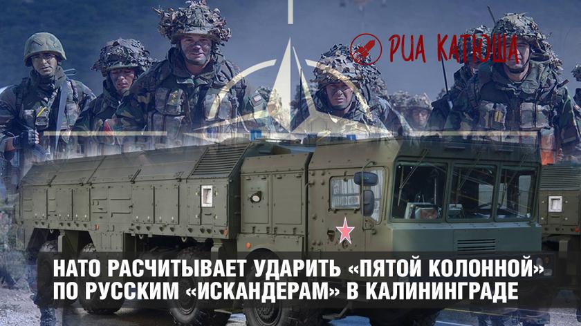 НАТО расчитывает ударить «пятой колонной» по русским «Искандерам» в Калининградской области НАТО расчитывает ударить «пятой колонной» по русским «Искандерам» в Калининградской области
