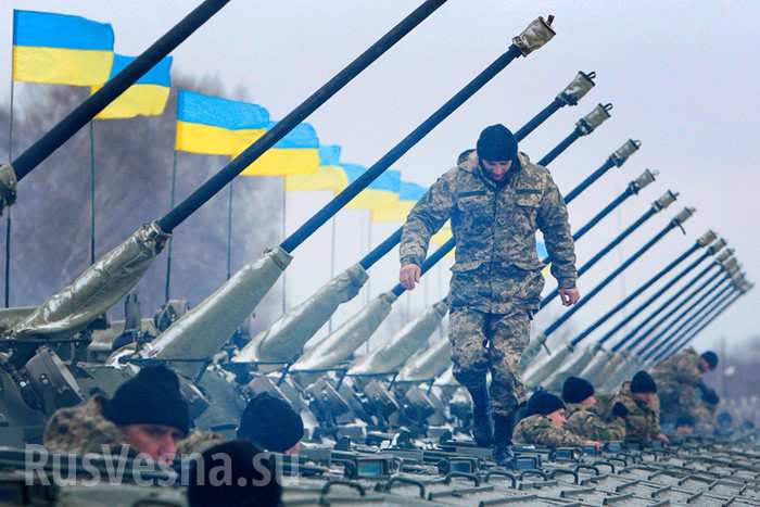 «Нет оружию для Украины!»: В США рассказали о неонацистской стране, карателях ВСУ и повстанцах Донбасса