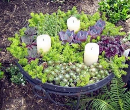 Красивые садовые композиции из суккулентов - фото Красивые садовые композиции из суккулентов - фото