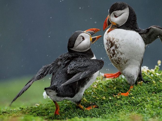 Лучшие фотографии National Geographic Лучшие фотографии National Geographic