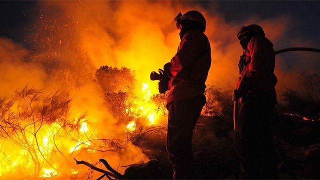 Португалия рискует исчезнуть с лица земли из-за лесных пожаров