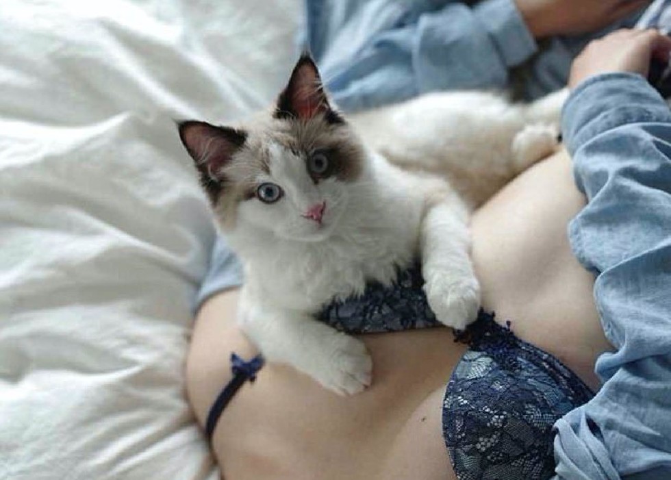 Обнаженная кошка мечтает о жестком сексе 15 фото эротика