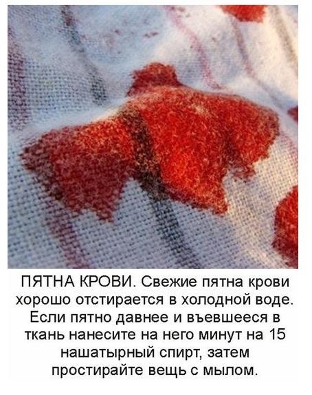 Чем вывести кровь в домашних условиях Чем вывести кровь в домашних условиях