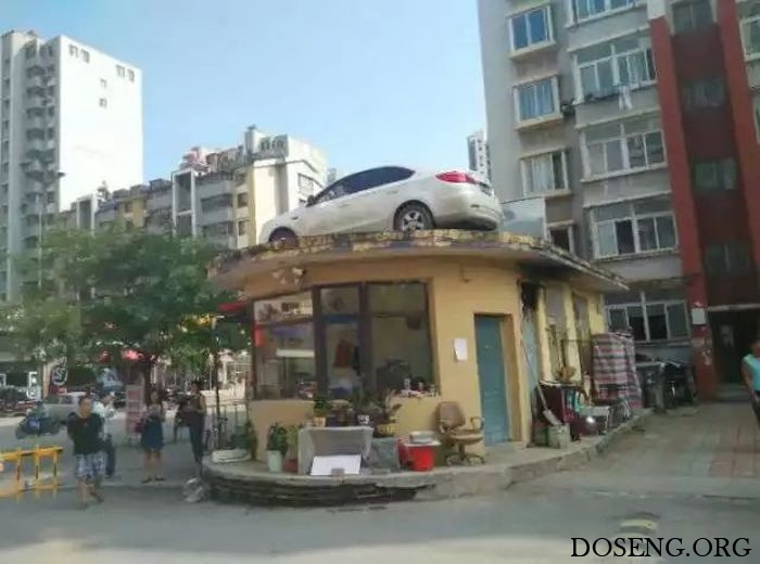 Жильцы дома проучили автоледи за наглую парковку Жильцы дома проучили автоледи за наглую парковку