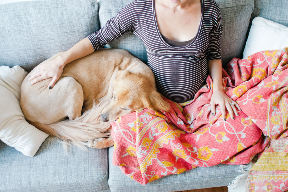 15 собак, которые очень ждут пополнения вместе с родителями 15 собак, которые очень ждут пополнения вместе с родителями