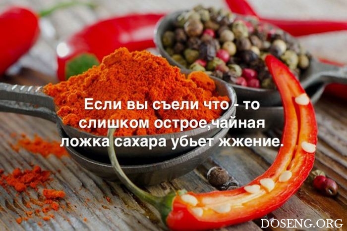 Любопытные и интересные факты обо всем на свете Любопытные и интересные факты обо всем на свете