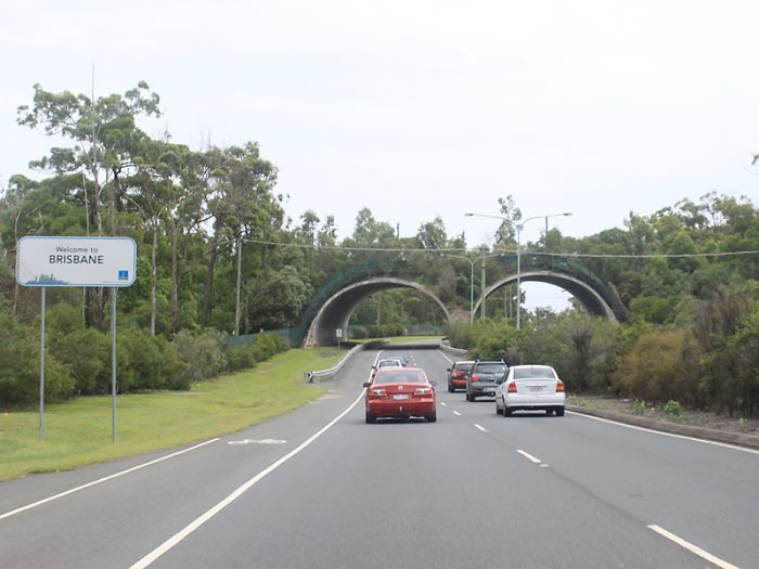 Wildlife Crossing Over Compton Rd, Brisbane