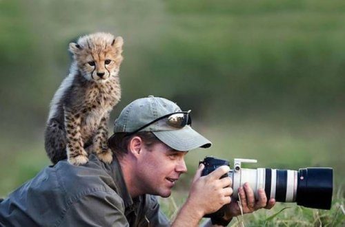 Фотографы дикой природы