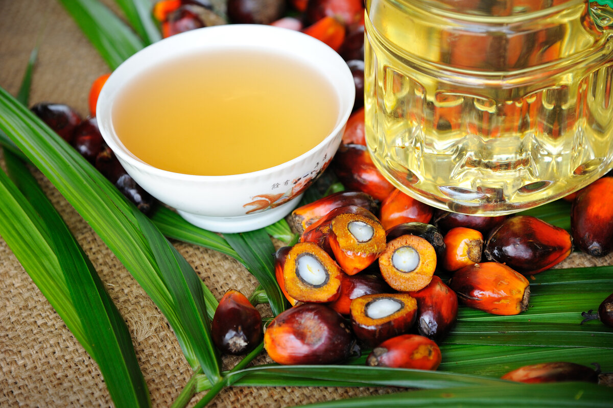 Пальмовое масло вредно или полезно?