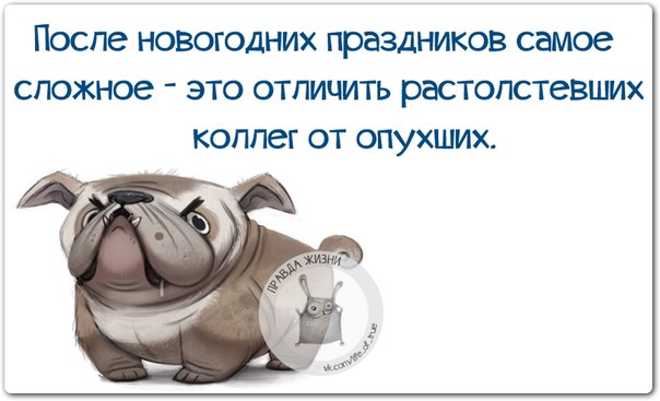 И так... Новый год отпраздновали... И так... Новый год отпраздновали...
