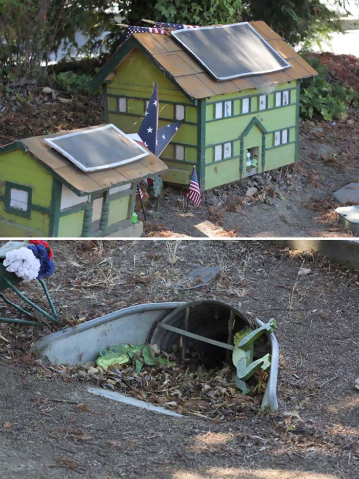 Davis Toad Tunnel In California