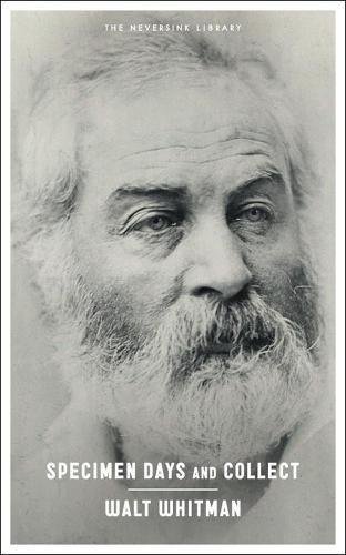 Walt Whitman on Beethoven and the Power of Music to Effect Full-Body Transcendence