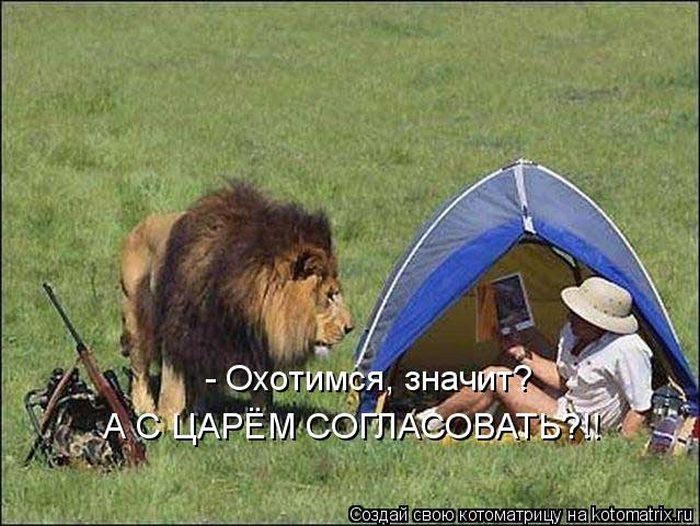 Самые весёлые котоматрицы)) Самые весёлые котоматрицы))