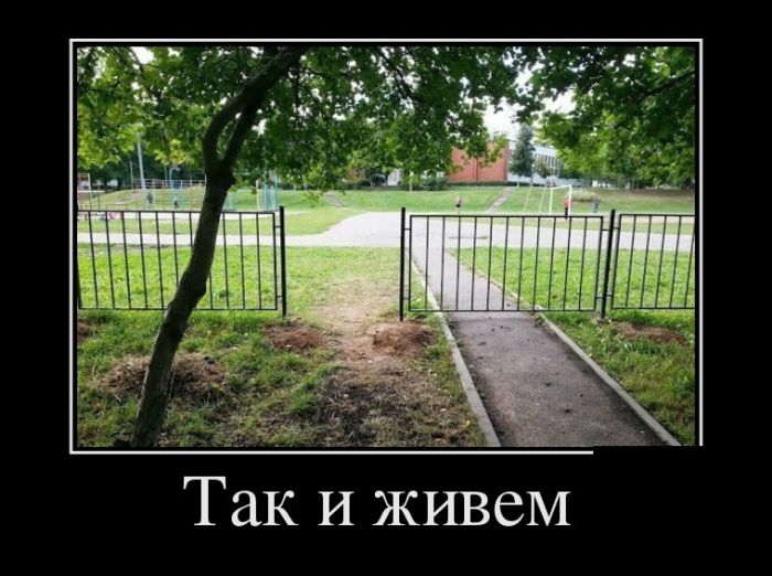 Демотиваторы Демотиваторы