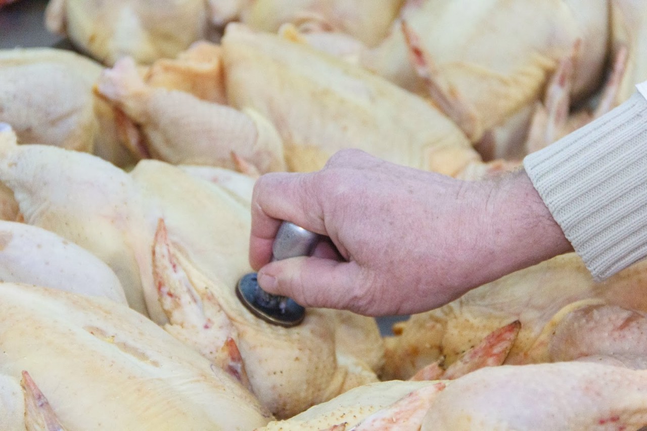 Как правильно выбирать мясо на рынке и в магазинах. Советы от настоящего мясника Как правильно выбирать мясо на рынке и в магазинах. Советы от настоящего мясника