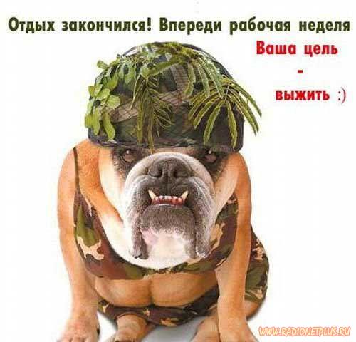 Давайте улыбаться вместе! :) (28поводов)