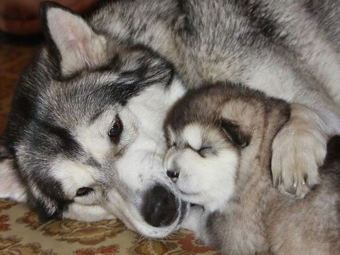 Давайте улыбаться вместе!