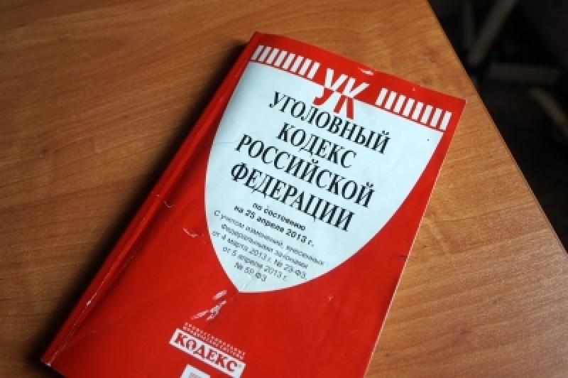 Реклама порнографии в подмосковной школе заинтересовала следователей