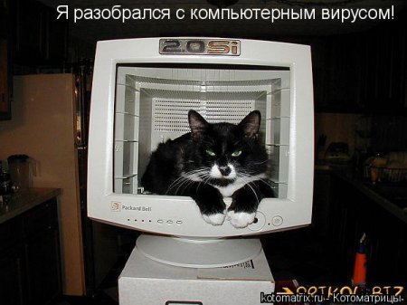 ��������� ����������� ������������..