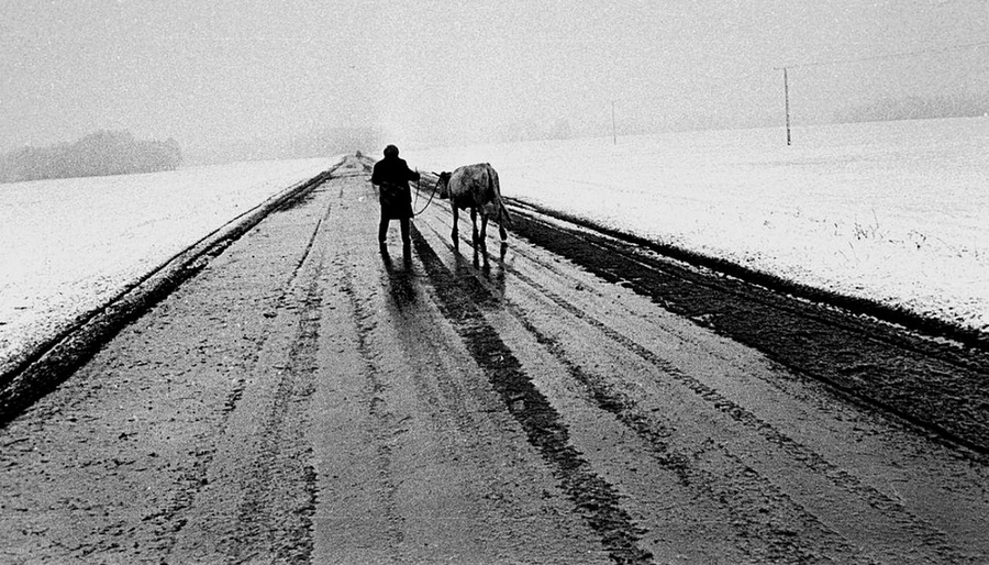 Жизнь в советских фотографиях Владимира Лагранжа