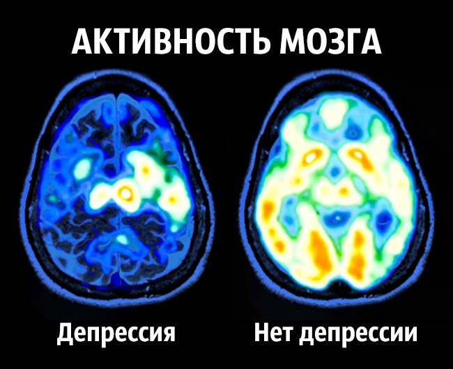 8 советов нейробиолога Белке о том, как стать счастливым раз и навсегда