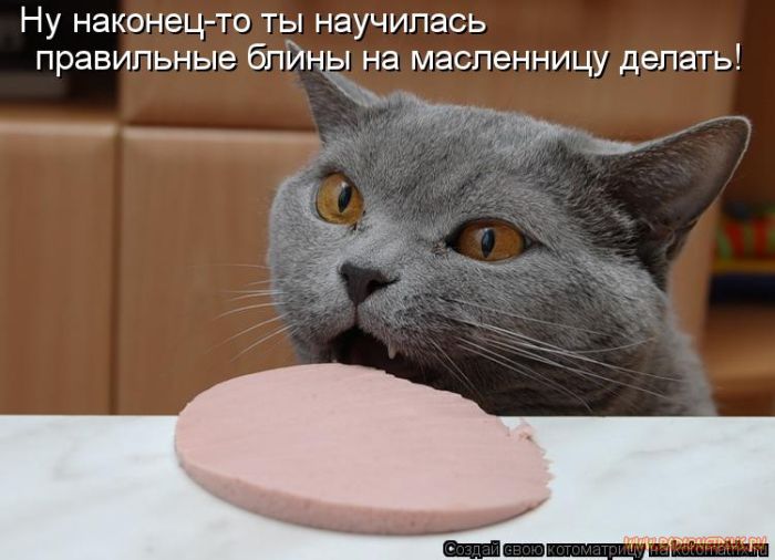 Котоматрицы великолепные, каждая с кусочком позитива и хорошего настроения!!! Котоматрицы великолепные, каждая с кусочком позитива и хорошего настроения!!!