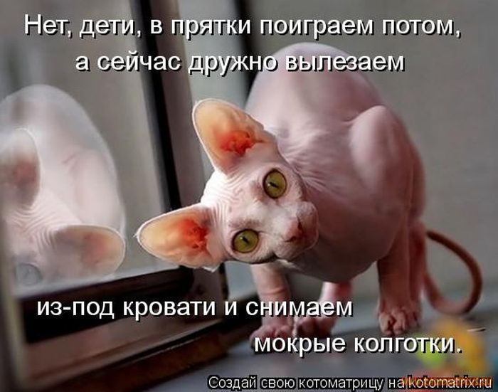 Котоматрицы великолепные, каждая с кусочком позитива и хорошего настроения!!! Котоматрицы великолепные, каждая с кусочком позитива и хорошего настроения!!!